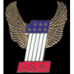 USA NUMBER ONE LARGE WITH WINGS PIN